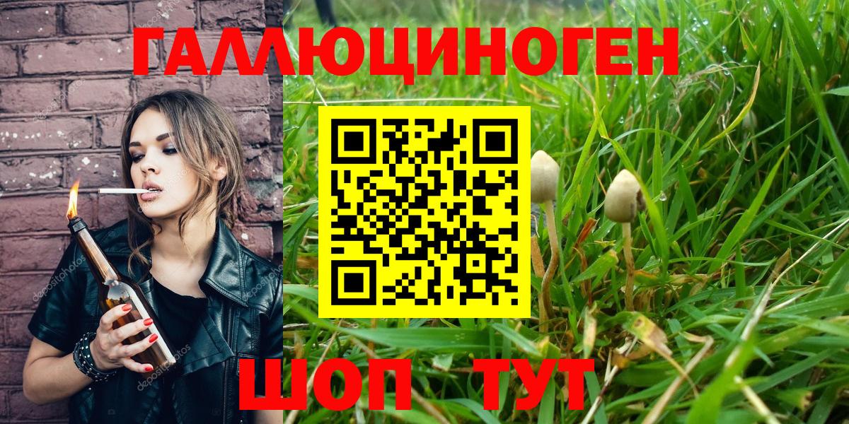 Псилоцибиновые грибы MAGIC MUSHROOMS Братск